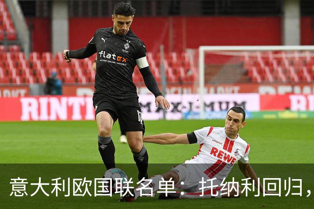 意大利欧国联名单：托纳利回归，卡拉菲奥里在列